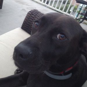 Meet your Posher, Andrew